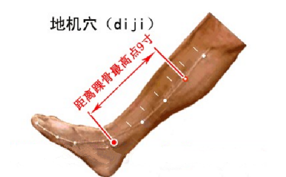 地机穴的取穴方法