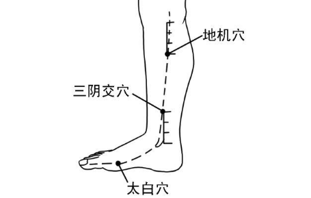 地机穴的功效与作用