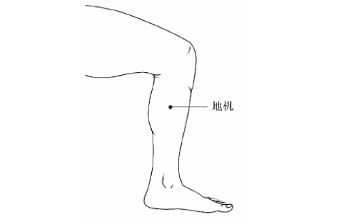 地机穴主治疾病