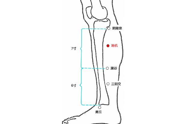 地机穴的按摩方法