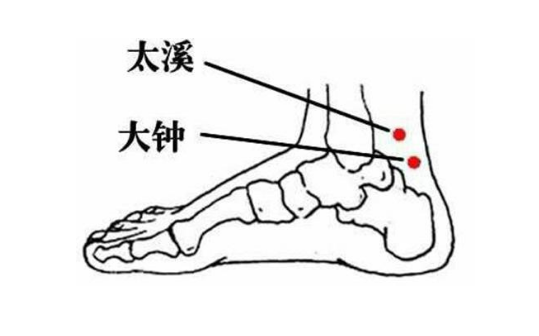 太溪穴的功效与作用