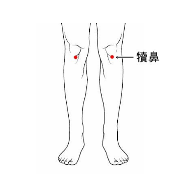 犊鼻穴的准确位置及其按