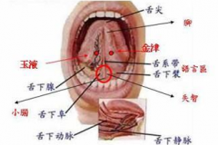 中医为你揭秘：聚泉穴的位置及其聚泉穴使人长寿的秘诀！