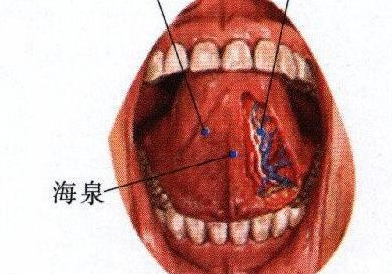 聚泉穴的作用