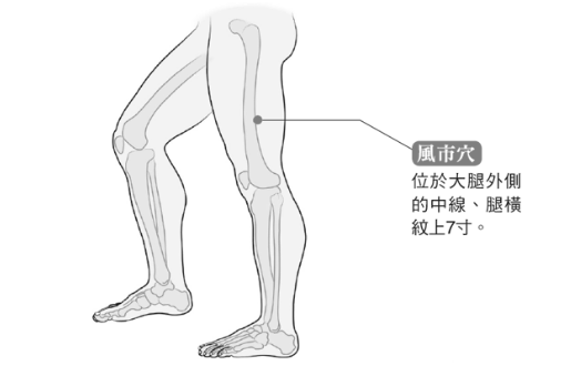 风市穴的图片