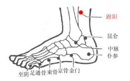 跗阳穴疼痛怎么回事