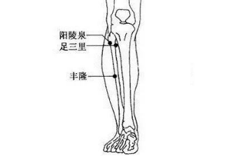 阳陵泉穴的图片