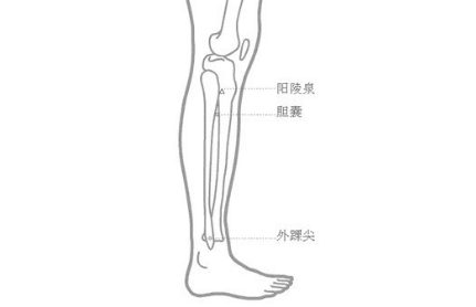 阳陵泉穴的功效与作用