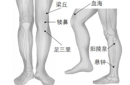 阳陵泉穴的按摩方法