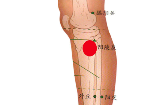 阳陵泉穴穴位配伍