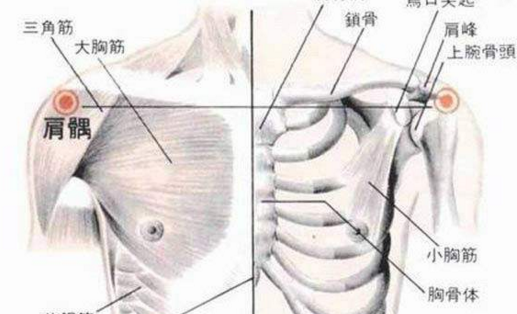 肩髃穴示意图