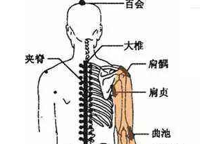 肩髃穴主治疾病