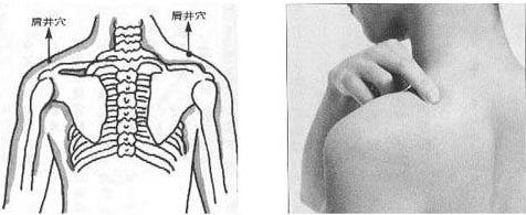 肩井穴示意图