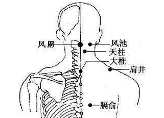 肩井穴图片