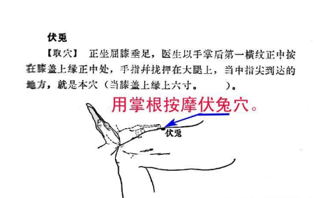 伏兔穴的取穴方法