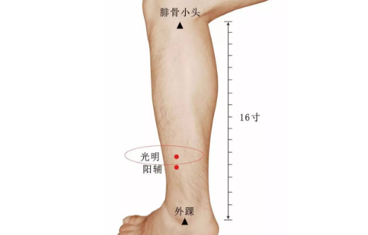 光明穴的准确位置