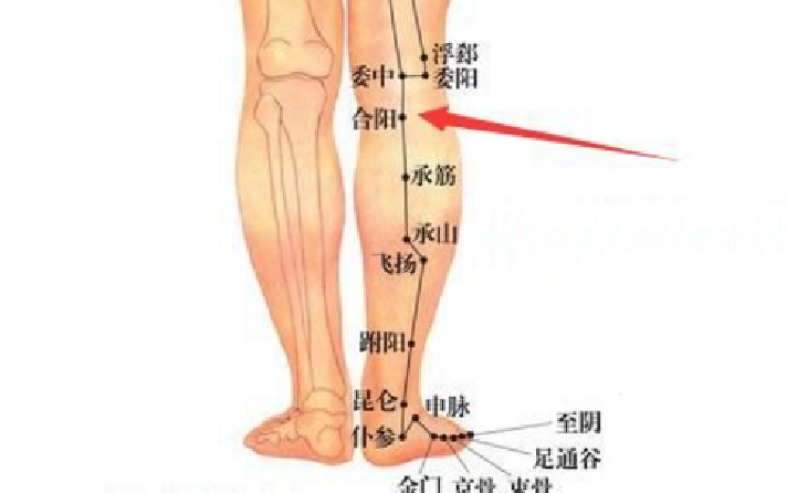 合阳穴的位置