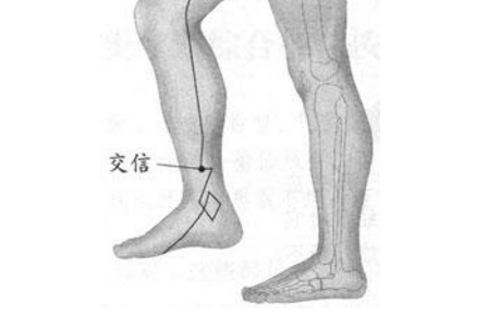 交信穴的按摩方法