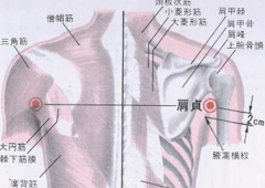 肩贞穴疼痛引起的原因及