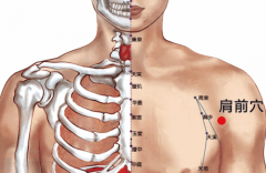 中医按摩肩前穴防治肩臂