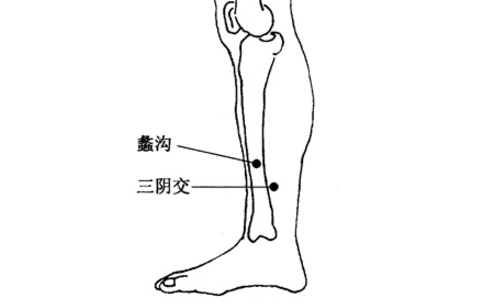 蠡沟穴位置