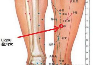 蠡沟穴主治疾病有哪些