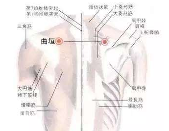 曲垣穴示意图