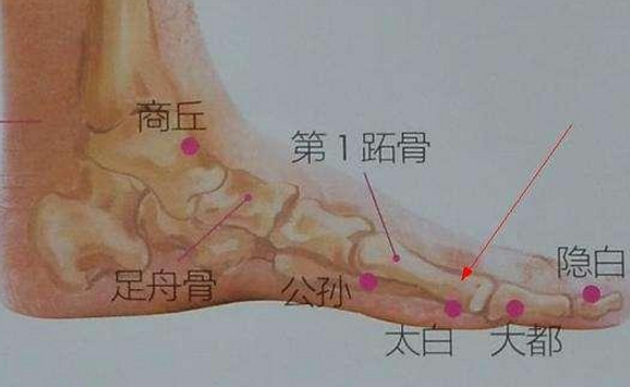 太白穴位置