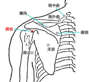 臑俞穴位位置