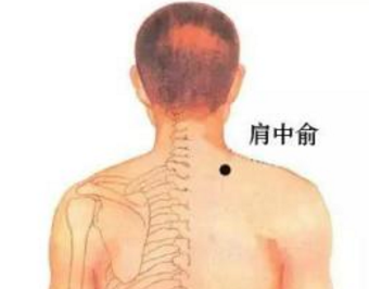 肩中俞穴的功效与作用