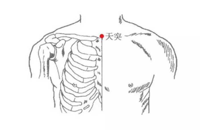天突穴的位置