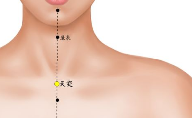 天突穴的位置图片