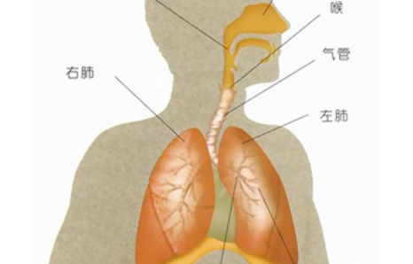 蜂窝肺综合征的治疗方法