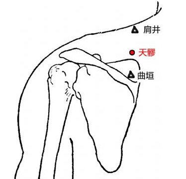 天髎穴穴位配伍