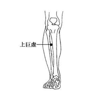 上巨虚穴疼痛是怎么回事？它的准确位置及其功效与作用有哪些？