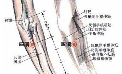 四渎穴主治疾病