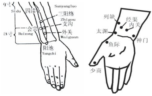 会宗穴图片