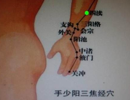 会宗穴的功效与作用
