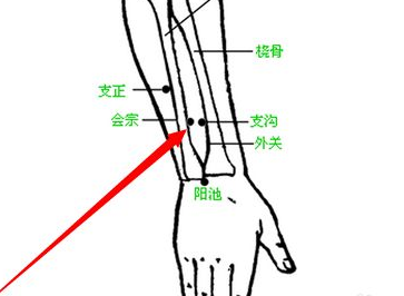 会宗穴的示意图