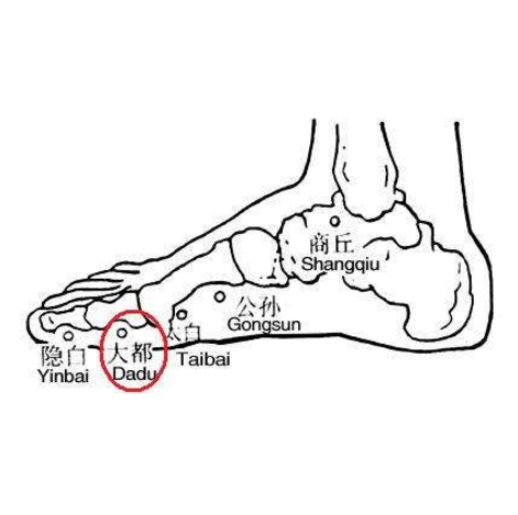 中医教你正确认识大都穴健脾补钙的功效与作用！