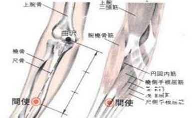 间使穴图片