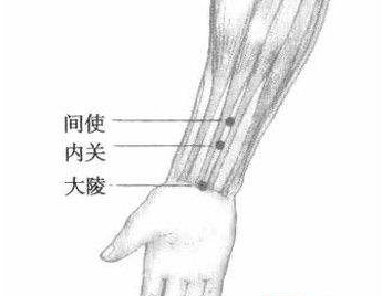 间使穴的功效与作用