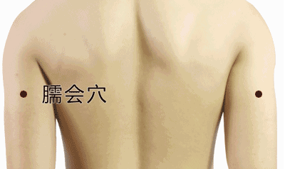 臑会穴准确位置