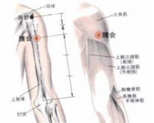 刺激臑会穴可以治疗空调肩，但你知道臑会穴的准确位置吗？