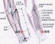 中医教你巧用偏历穴治疗龋齿牙痛，偏历穴怎么找？