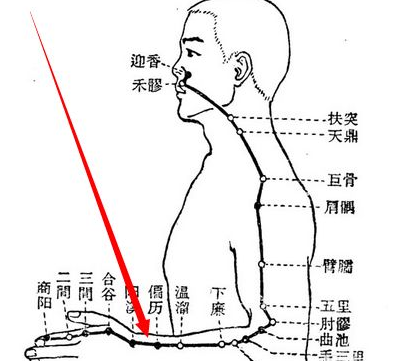 偏历穴图片