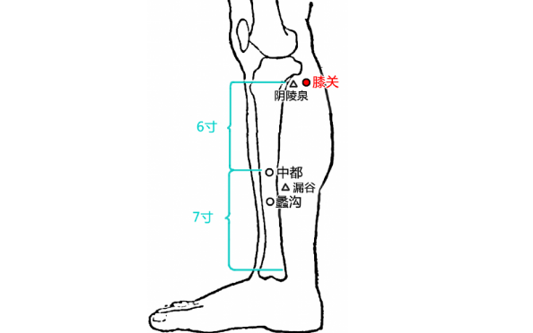 膝关穴的图片