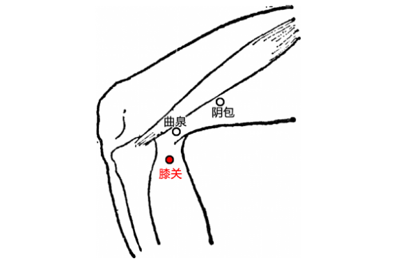 膝关穴疼痛怎么回事