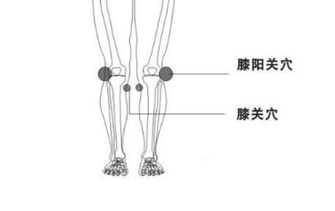 膝关穴的位置