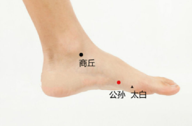 公孙穴位置